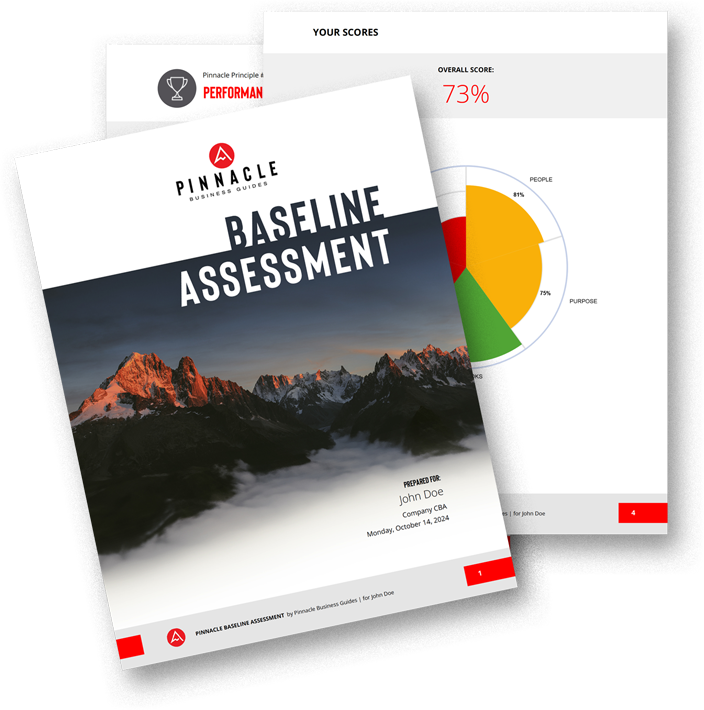 Mockup of pages from the Pinnacle Baseline Assesment